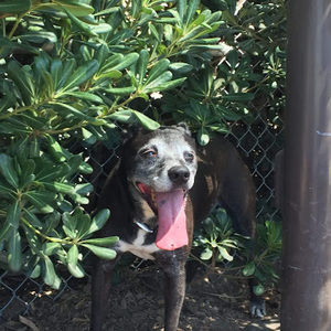 Meet your Posher, Gabrielle